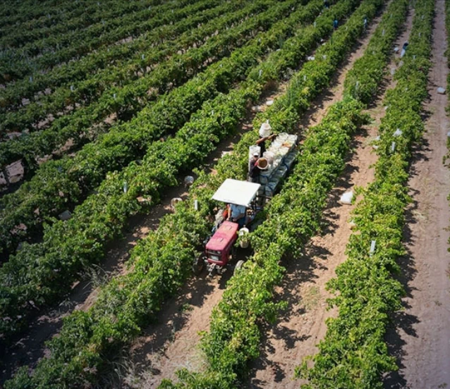 Tarım sektöründe küresel etki: Hürmüz Boğazı'ndaki aksamalar çiftçiyi vurdu