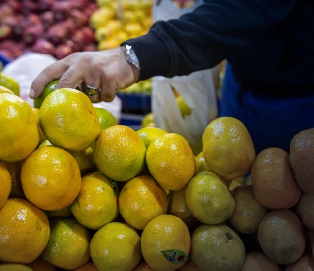Tarım ve gıda ihracatı artışta: Ocak ayında 2,4 milyar dolara ulaştı