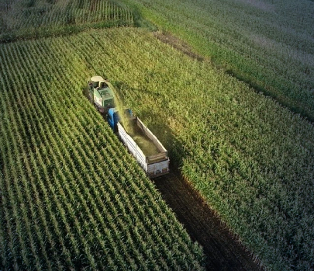 Tarımsal girdi maliyetleri: Ocak ayında yüzde 3,86 artış