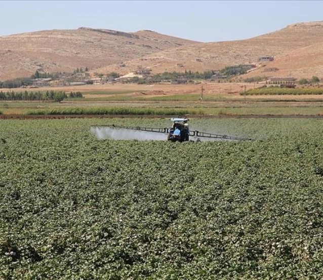Tarımsal girdide fiyat endeksi açıklandı: Yıllık yüzde 33.6 arttı