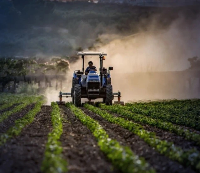 Tarımsal üretimde yağış bereketi: Ülke genelinde tarımsal risk öngörülmüyor