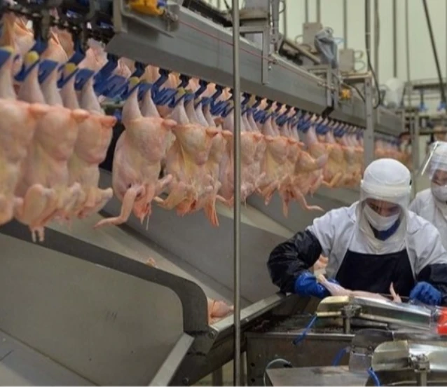 Tavuk eti üretiminin Kasım 2025’te yıllık artışı sürdü!