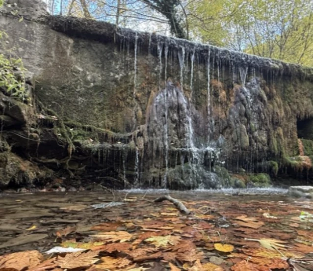 Tekirdağ'da sonbahar renklerine bürünen ormanlar doğa tutkunlarını bekliyor