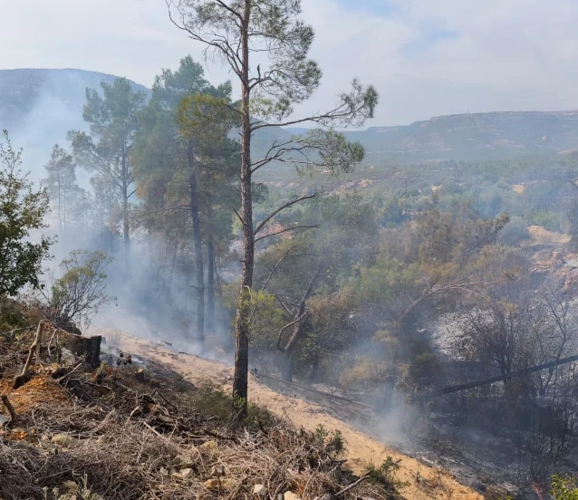 Temizlik için ateş yaktılar! Sonu kötü bitti