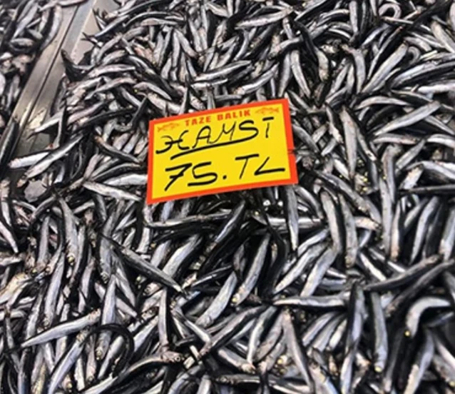 Tezgahlarda hamsi bereketi: 75 TL'ye düştü