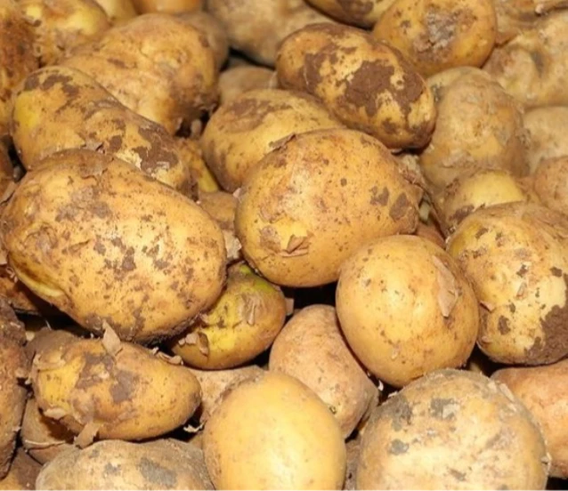 Ticaret Bakanlığı'ndan patates fiyatları için açıklama
