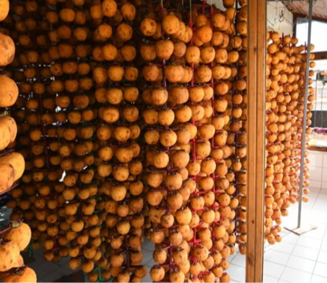 Trabzon hurmasını makineyle kurutarak kazancını ikiye katladı