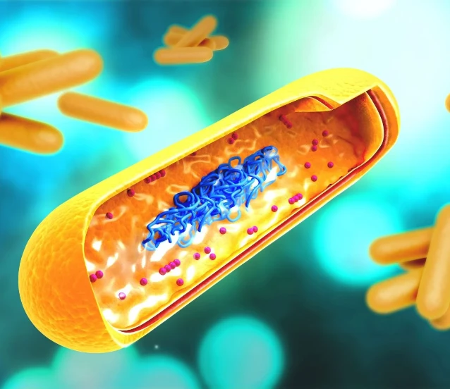 Tüberküloz için burun yoluyla uygulanabilen DNA aşısı geliştirildi