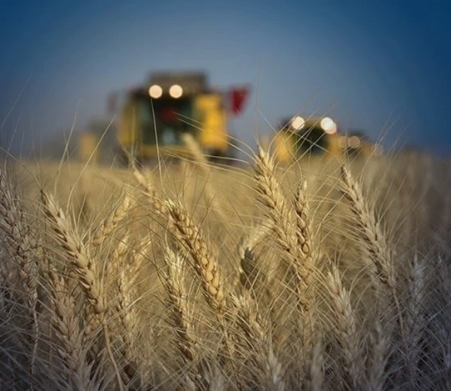 TÜİK verileri: Türkiye tarımda hangi üründe kendine ne kadar yeterli?