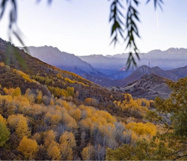 Salördek ormanları sonbaharda doğayla buluşmak isteyenleri ağırlıyor