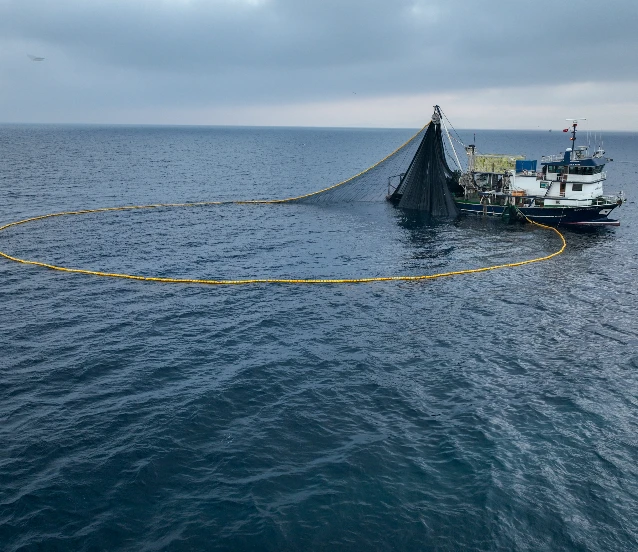Afrika kıyılarından Afrika kıyılarından okyanuslara…