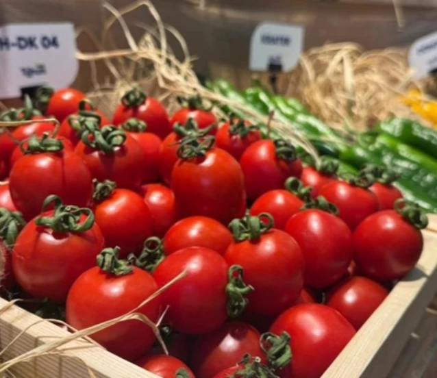 Türk tohumculuğu dünya sahnesinde