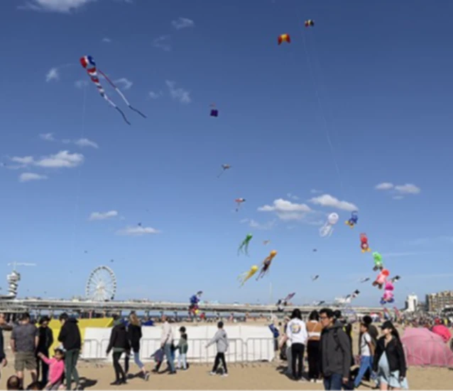 Türk Uçurtma Takımı Çin'de 2 altın madalya kazandı