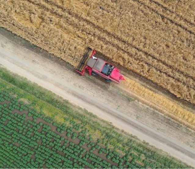 Türkiye’de tarımda 2025 panoraması