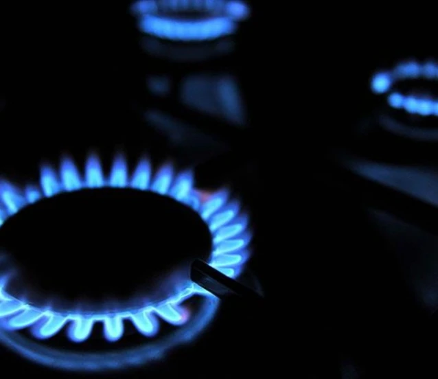 Türkiye’nin doğal gaz ihracat potansiyeli özel sektörle artabilir