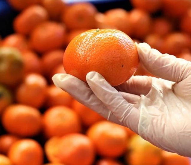 Turunçgil ihracatı yüzde 61 arttı