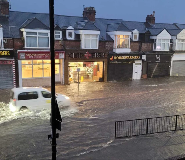 Yapay zeka selden korunmaya yardımcı olabilir mi?