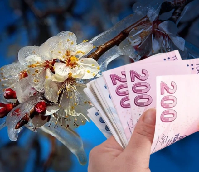 Zirai don desteğinde yeni ödeme