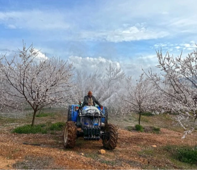 Zirai donun ardından bu yıl kayısı için ilaçlama mesaisi başladı