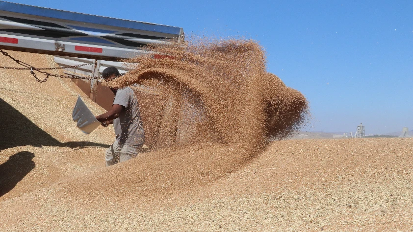 Küresel gıda fiyatları 6 ayın zirvesinde