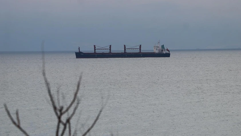 Türk sahipli deniz ticaret filosu dünyada ilk 10'a yürüyor