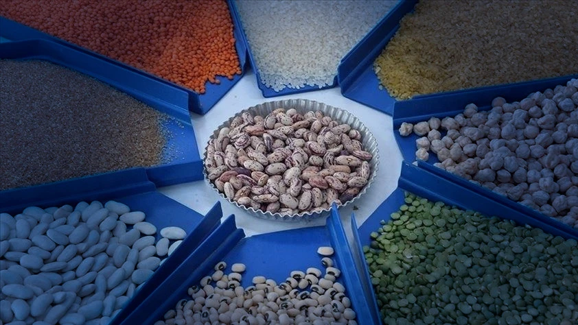 10 aylık hububat ihracatı 10,1 milyar dolar oldu