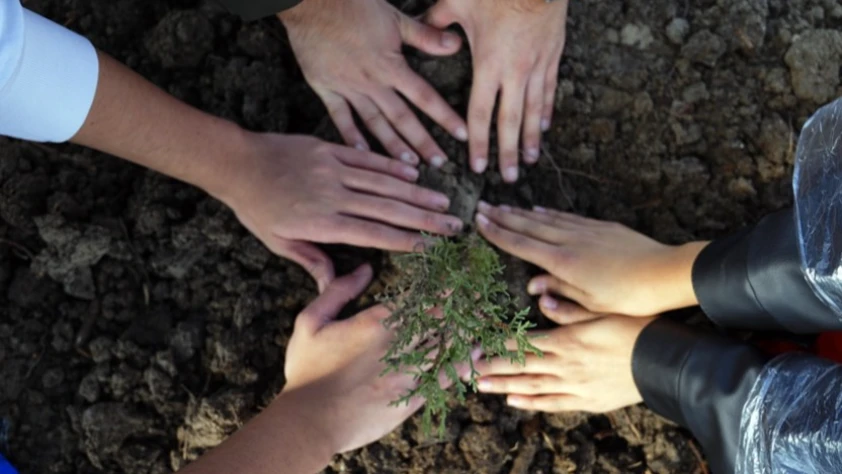 11 Kasım Milli Ağaçlandırma Günü’nde çifte rekor: 14,9 milyon fidan toprakla buluştu
