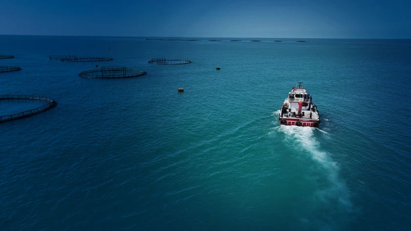 2025'te balıkçılık sektöründen tarihi rekor