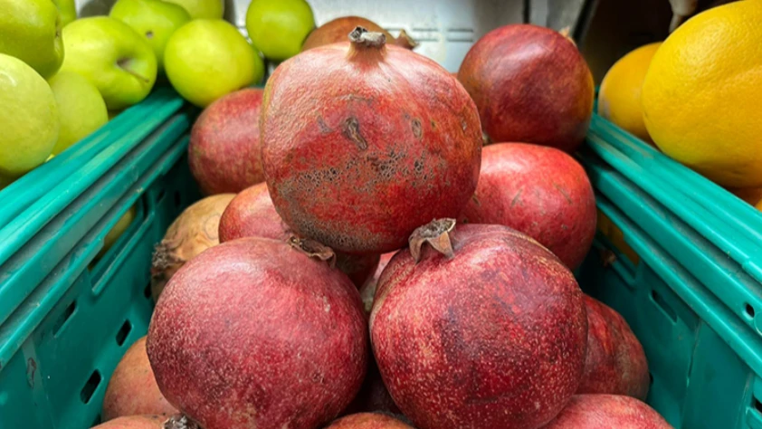 62 ülkeye 162,5 milyon dolarlık nar gönderildi