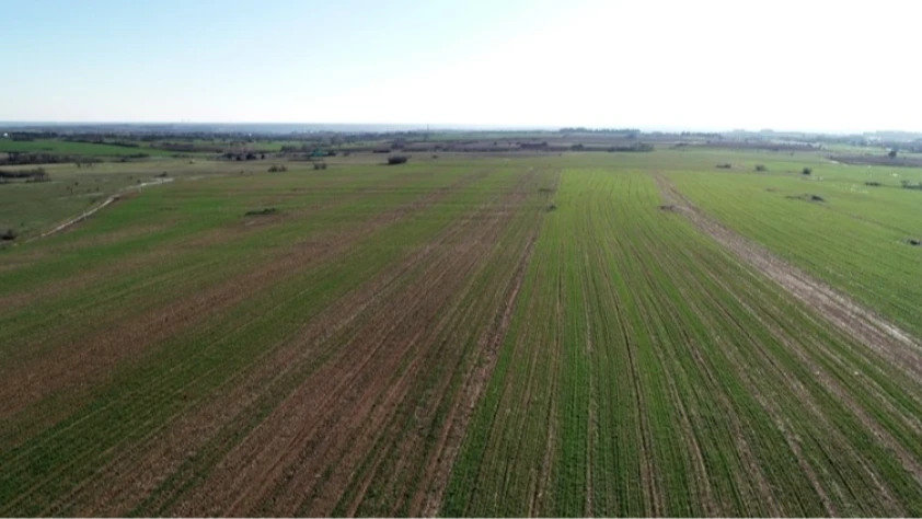 64 ilde 48,8 milyon metrekare arazi tıbbi ve aromatik bitki yetiştirilmek üzere kiralandı