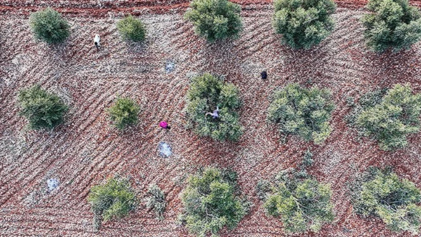 9 ilde ekonomik dönüşüm: Teşviklerle sanayi ve tarım güçlenecek