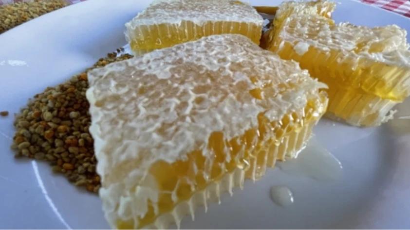 AB'den coğrafi işaretini aldı! Şimdi markalaşma yolunda