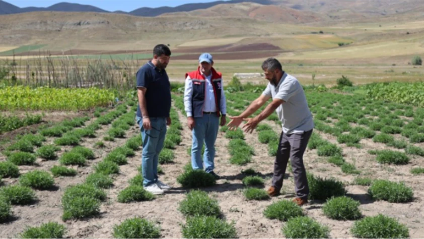 ABD'li yatırımcılar Bayburt'ta inceleme yaptı!