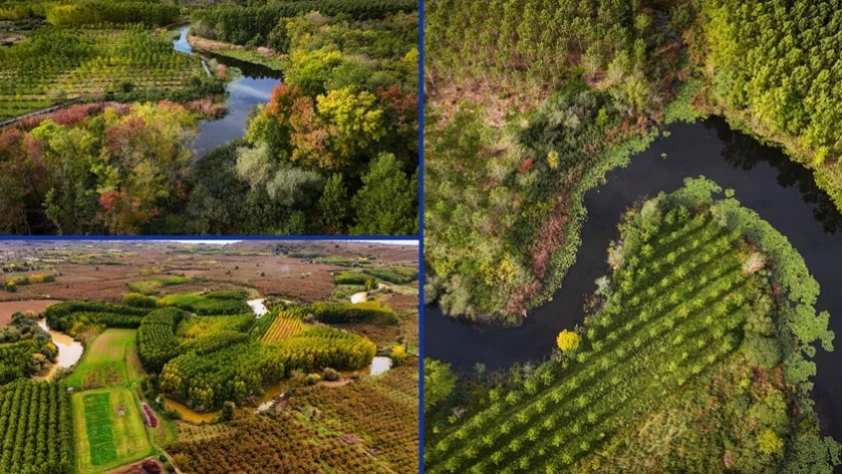 Acarlar Longozu sonbahar renkleriyle büyülüyor: Sakarya’da doğa fotoğrafçıları için eşsiz manzara Acarlar Longozu sonbahar renkleriyle büyülüyor: Sakarya’da doğa fotoğrafçıları için eşsiz manzara