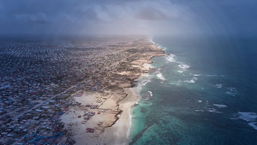 Afrika sularında yasa dışı avcılık krizi: Türkiye'nin Somali modeli kıtaya örnek olacak