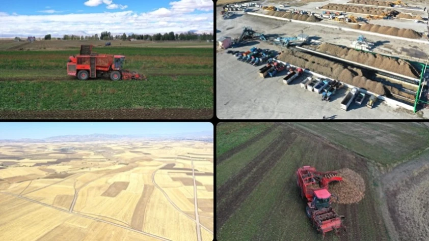 Ağrı'da devlet desteğiyle ekilen tarım ürünlerinde çeşitlilik artıyor