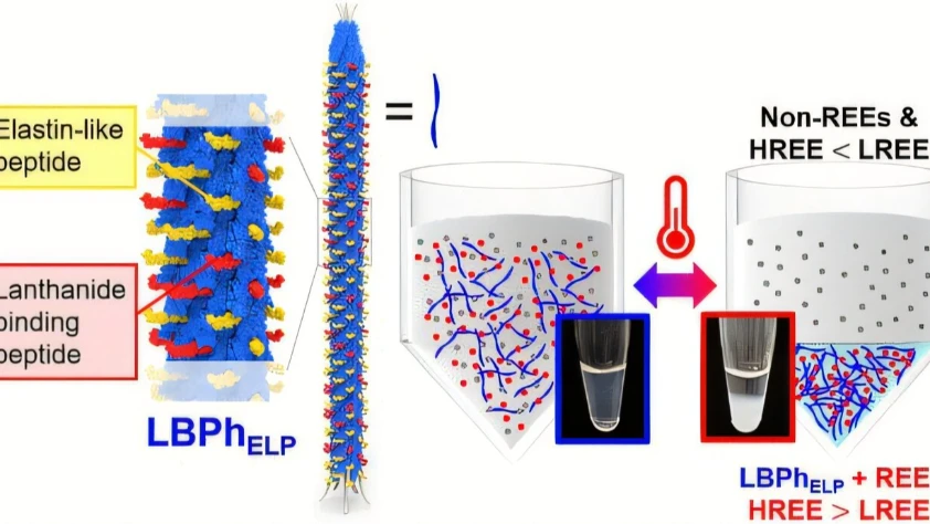'Akıllı sünger' virüs nadir elementleri toplayacak
