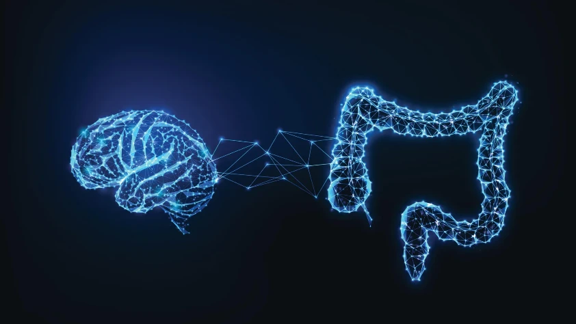 ALS ve demansı tetikleyen bağırsak şekerleri tespit edildi