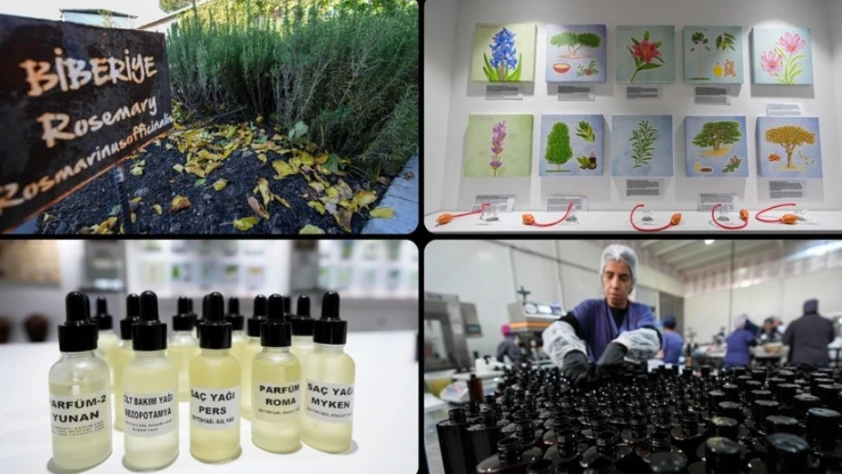 Anadolu'nun güzellik tarifleri Türk kozmetik sektörüne yeni fırsatlar sunuyor