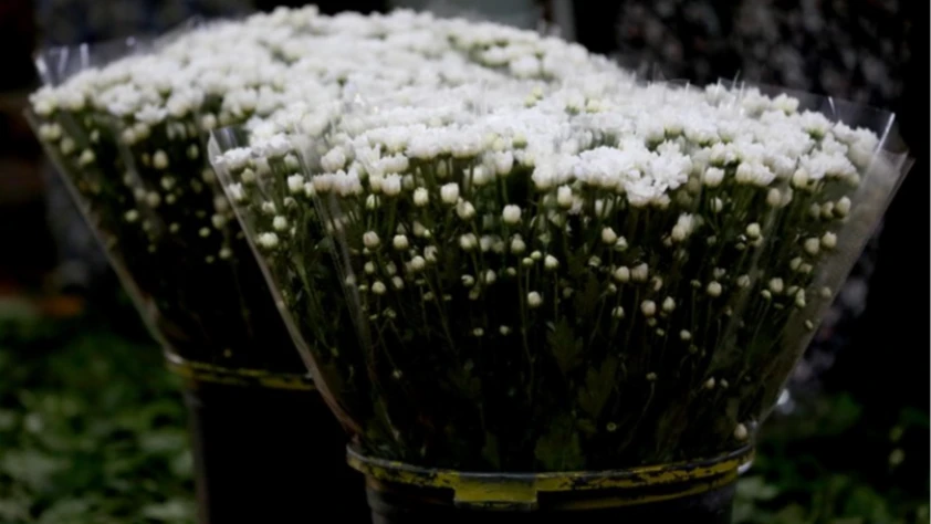 Antalya'da çiçek mezatlarında Öğretmenler Günü yoğunluğu
