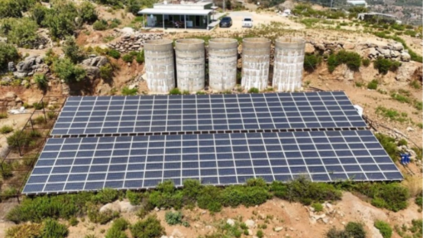 Antalya'da tropikal meyve bahçelerine kurulan GES enerji maliyetlerini düşürdü