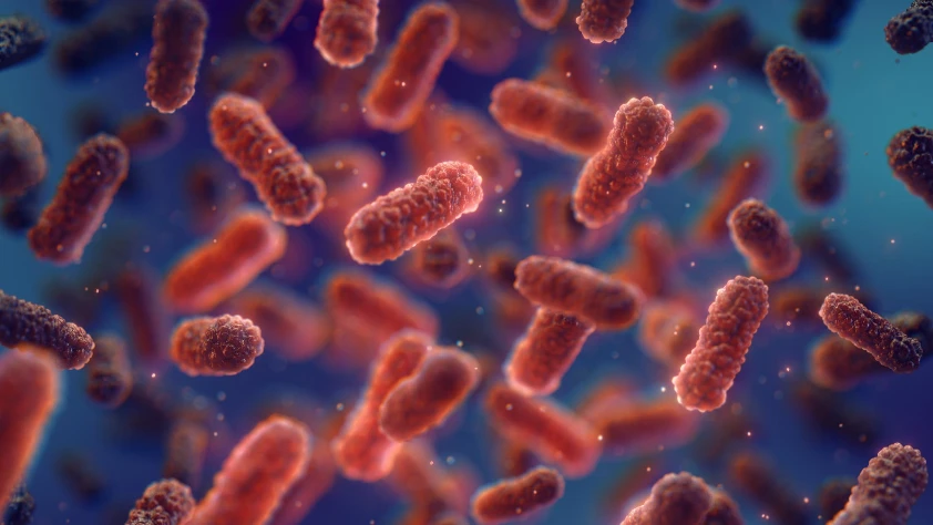 Antibiyotik direncine karşı doğal kalkan keşfedildi: ‘İntelectin-2’