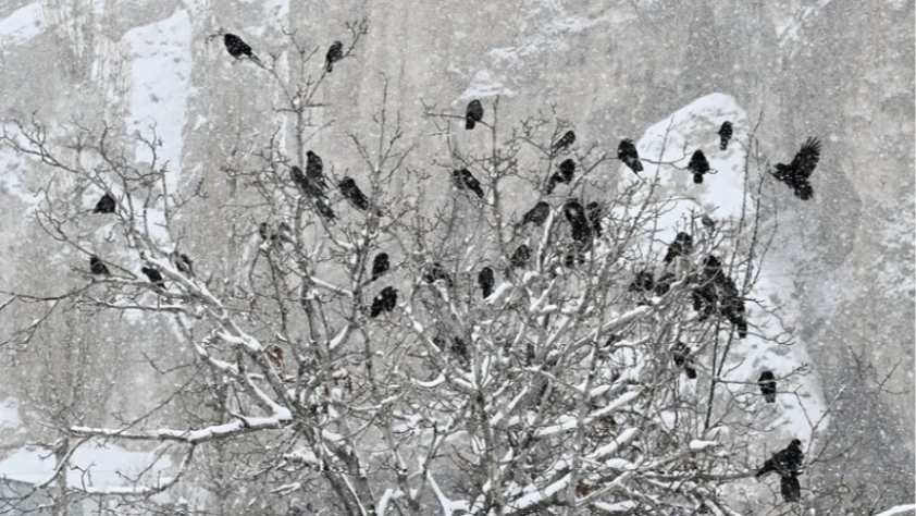 Aralık ayında hava durumu rekorları: En soğuk Van’da en sıcak Hatay’da