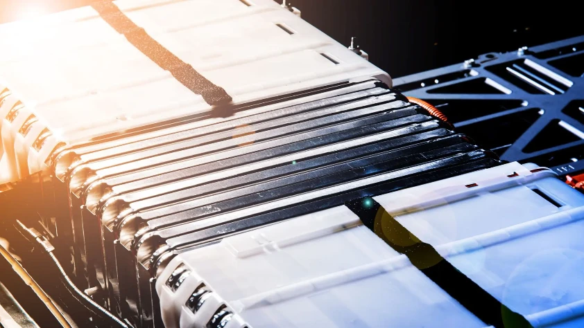 Atıktan enerjiye: Lavanta, pil teknolojisinde stratejik hammadde oluyor