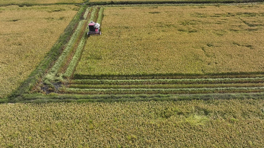 Bakan Yumaklı açıkladı: 19,5 milyar lira tarımsal destekleme ödemesi bugün yapılacak