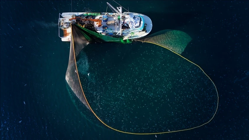 Bakanlık duyurdu: Su ürünleri avcılığı sözleşmeli üretim kapsamına alındı
