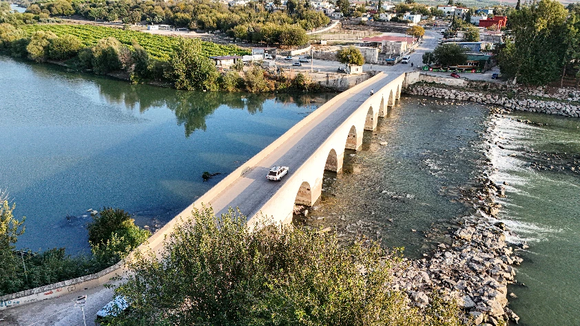Balık ölümleri arttı! İnceleme başlatıldı