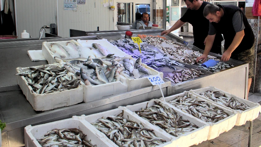Balıkçılıkta geri sayım: Av yasağına son 9 gün! Tezgahlarda haraketlilik var