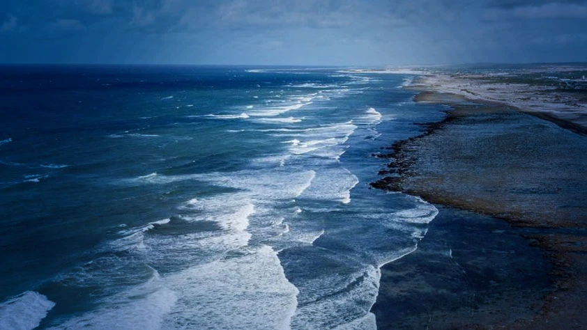 Balıkçılıkta küresel açılım: Türkiye IOTC gözlemcisi oldu