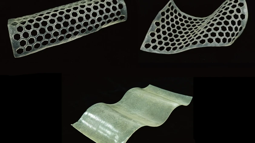 Bambu’dan moleküler Plastik: Yüksek dayanım, yüzde 90’lık geri kazanım
